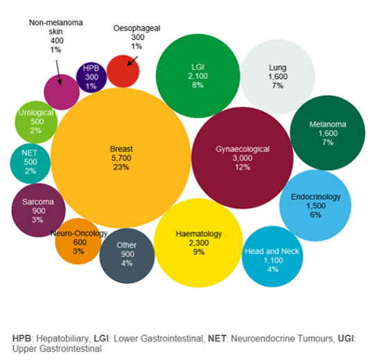 A graphic showing the breakdown by disease group for female patients at The Christie. The most common cancer type seen in our female patients is breast cancer seen in 23% of female patients. Gynaecological cancers are seen in 12% of female patients, haematological cancers are seen in 9% of female patients, lower gastric intestinal cancers are seen in 8% of female patients, lung cancers are seen in 7% of female patients, melanoma is seen in 7% of female patients, endocrinology cancers and other endocrinology related issues are seen in 6% of female patients, head and neck cancers are seen in 4% of female patients, other very rare cancers and benign tumours are seen in 4% of female patients, neuro-oncology cancers are seen in 3% of female patients, sarcomas are seen in 3% of female patients, neuroendocrine cancers are seen in 2% of female patients, urological cancers are seen in 2% of female patients, oesophageal cancers are seen in 1% of female patients, hepatobiliary tract cancers are seen in 1% of female patients, and non-melanoma skin cancers are seen in 1% of female patients.