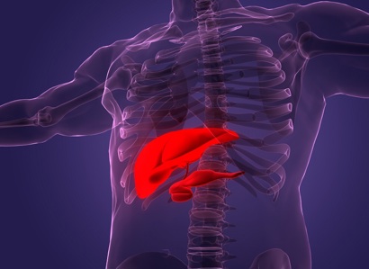 A 3D render graphic showing a highlighted pancreas in the body.