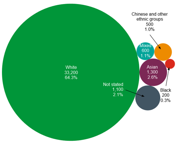 A graph showing that among The Christie patient population, 64.3% of patients classify themselves as white, 2.6% of patients classify themselves as Asian, 1.1% of patients classify themselves as mixed ethnicity, 0.3% of patients classify themselves as Black, 1.0% of patients classify themselves as Chinese or another ethnic group and 2.1% of patients decline to provide an ethnicity status.